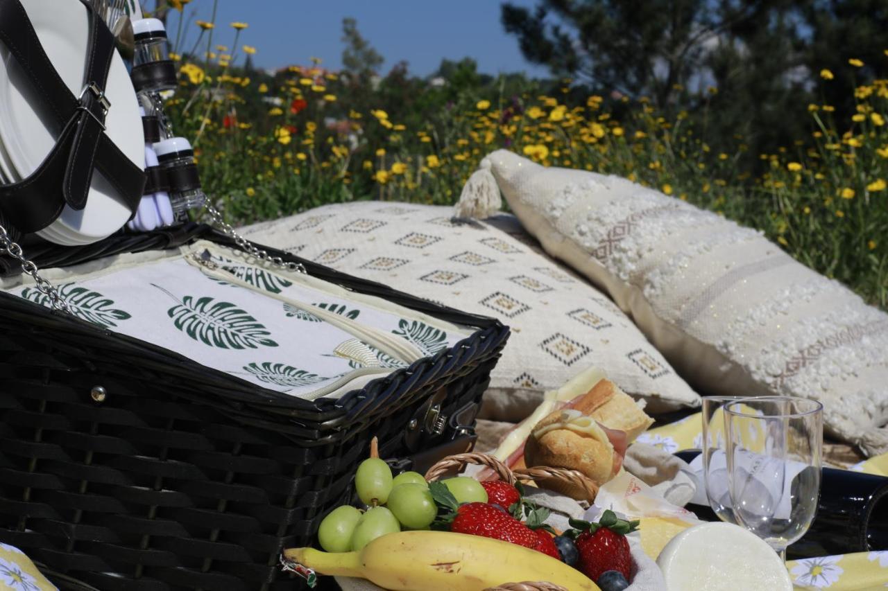 Quinta Vale De Palheiros Ξενοδοχείο Santa Comba Dao Εξωτερικό φωτογραφία